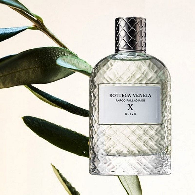 Mùi hương Bottega Veneta Parco Palladiano X: Olivo với cây ô liu, cỏ vetiver và hổ phách